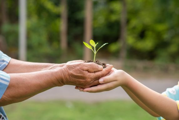 Especialista destaca que preparar profissionais da área ambiental é essencial para tornar cidades e empresas mais resilientes
