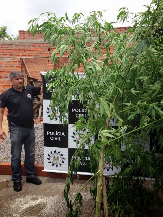 A Polícia Civil chegou até o local através de denúncia anônima