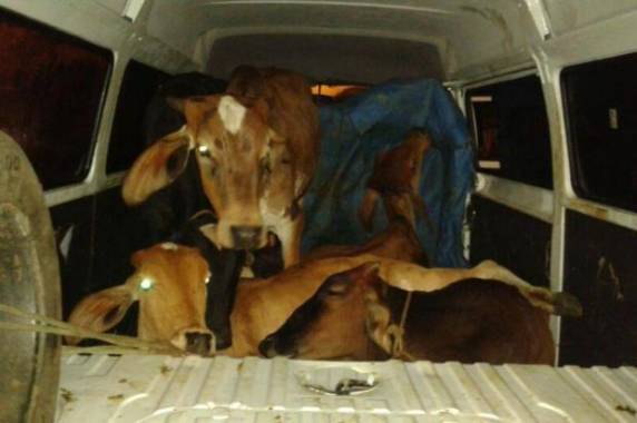 Condutor e passageiro foram detidos pelos policias que faziam barreira na BR-040