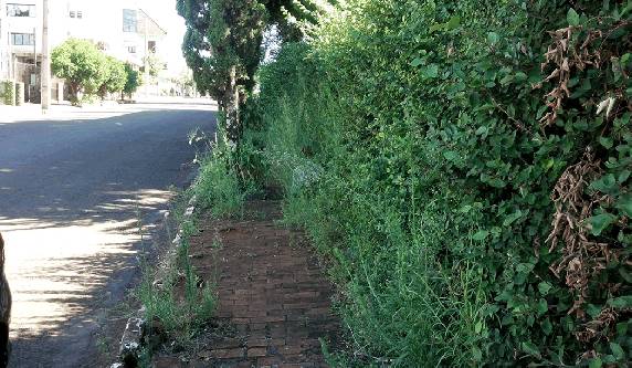 A falta de limpeza em áreas centrais é 

um dos problemas