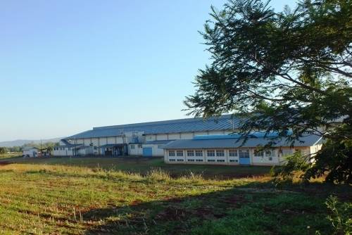 Empresa tem faturamento médio de mais de 3 milhões 

mensais em Crissiumal