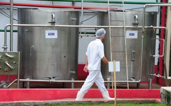Volume foi processado pelas indústrias Pavlat e Hollmann para 

produção de leite UHT e derivados