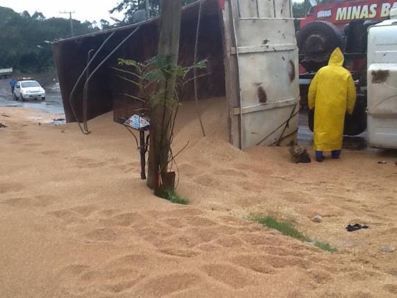 Caminhão tomba com carga de trigo