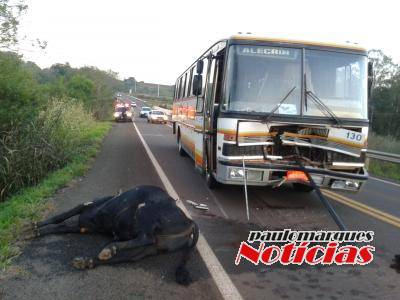 O acidente ocorreu no início da manhã desta terça-feira (15)