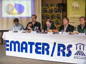 Estudo apresentado na Expointer prevê 27,6 milhões de toneladas colhidas