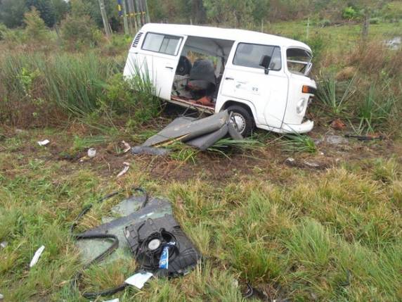 Animal foi arremessado por carro para outra pista, foi atropelado e morreu. Oito pessoas foram levadas para hospitais; uma está em estado grave