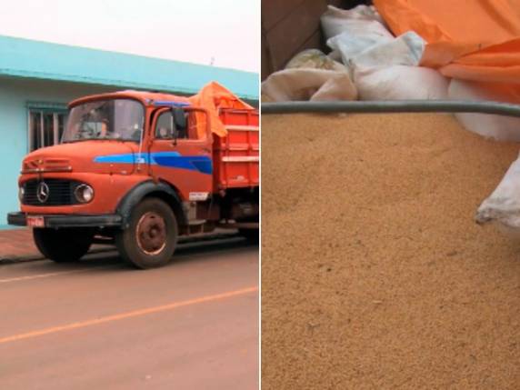 Grupo retirava grãos com baldes e despejava em caçamba de 

caminhão