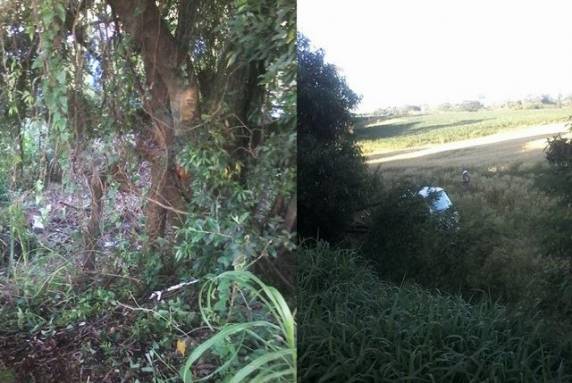 Agricultor que colhia pasto encontrou o corpo da vítima