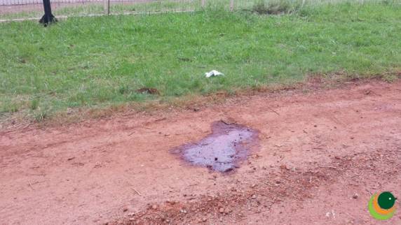 Vítima ficou várias horas agonizando até a chegada do socorro