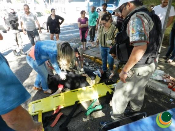 A vítima 

permanece internada em estado de saúde grave no HSVP