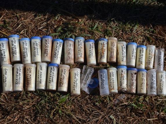 Materiais foram encontrados às margens da BR-285 em Panambi