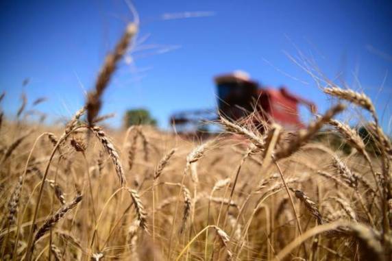 Produção está sendo exportada para países que têm menor rigor no controle alimentar