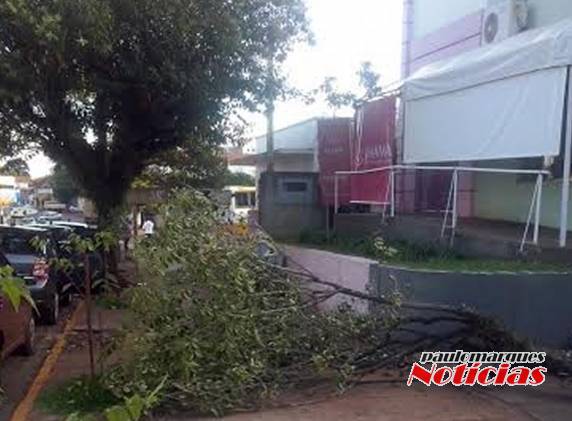 O galho está caído sobre a calçada ao lado da prefeitura de Três de Maio