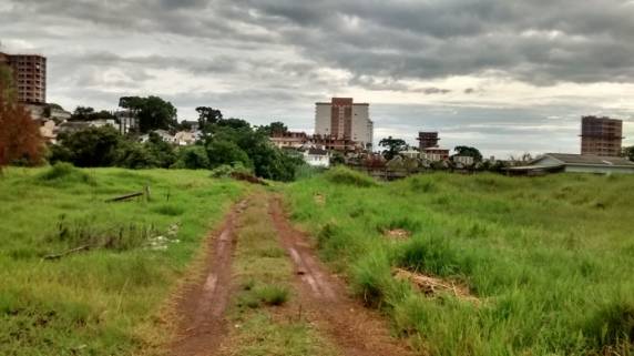 O local é conhecido como banhado da Vergueiro