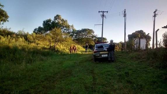 Crime ocorreu na véspera do Natal
