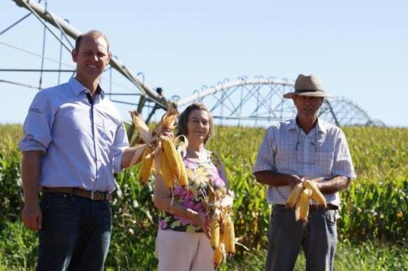 Produtores gaúchos reconhecidos pelo bons 

resultados no cultivo de grãos e na pecuária mostram o que fizeram para ampliar os rendimentos