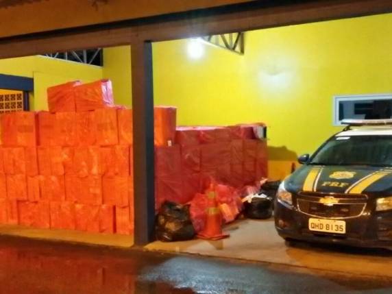 Apreensão ocorreu na BR-101 em Joinville, neste domingo (29)
