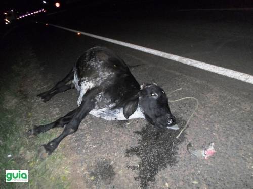 Colisão ocorreu na noite desta quinta-feira