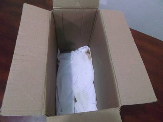 Menina de cerca de 5 dias estava sem roupas e picada por formigas