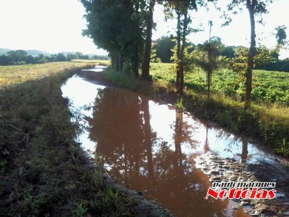 Segundo eles o caso é de abandono