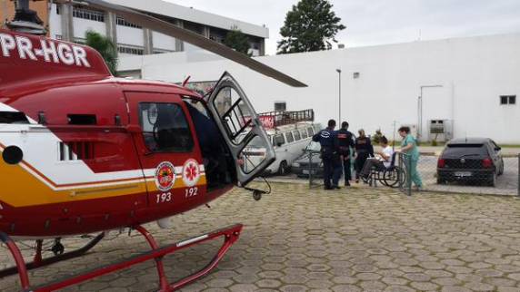Espécie é comum em Florianópolis e, em 2013, 497 pessoas foram mordidas em Santa Catarina