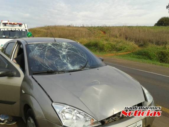 Ocupantes tiveram ferimento leves, piloto de uma moto envolvida precisou ser socorrido