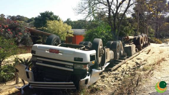 Antes de tombar a carreta atingiu e derrubou um coqueiro, provocando um enxame de 

abelhas