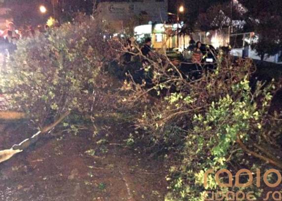 Fato aconteceu na Avenida Getúlio Vargas
