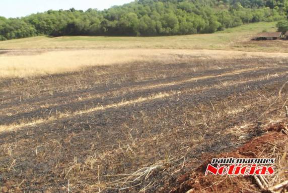 Segundo o homem ele foi vítima de um incêndio criminoso