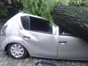 Jovem de 24 anos chegava em sua casa, na Zona Norte de Porto Alegre
