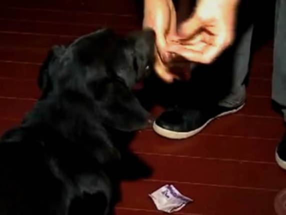 Duque como é chamado, tem no salame seu prato preferido