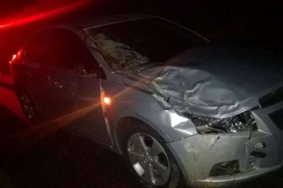 Animais estavam atravessando a rodovia quando foram atropelados por um Cruze