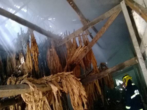 Fogo destruiu colheita de fumo armazenado em galpão
