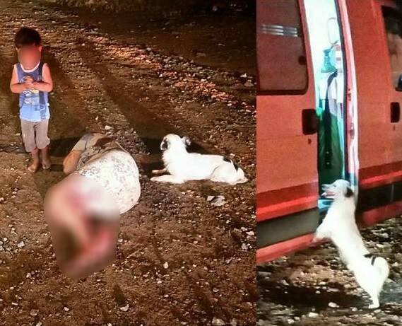 Menino de 2 anos e 8 meses segurava mão da mãe ferida 

em Joinville, SC