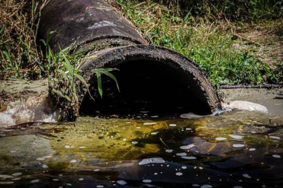 Foram coletadas amostras de água em 10 pontos da Lagoa da Conceição