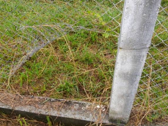 Ele cortou cerca da Colônia Penal 

Agrícola de Palhoça com alicate e entrou