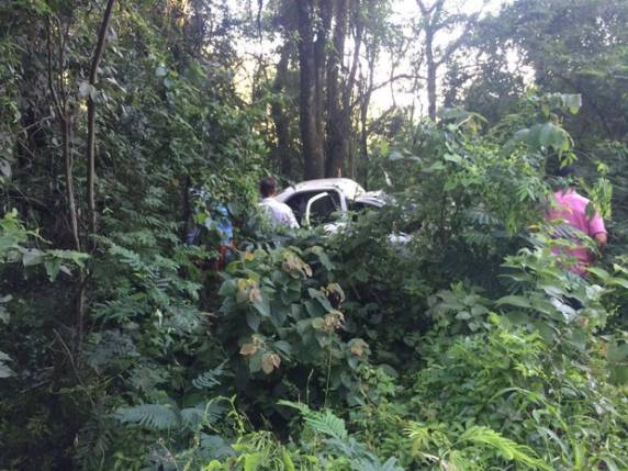 Carro saiu da pista e bateu em 

árvores às margens da SC-283 nesta tarde