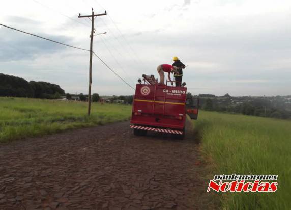 Incêndios foram provocados em dois postes da rede elétrica na cidade