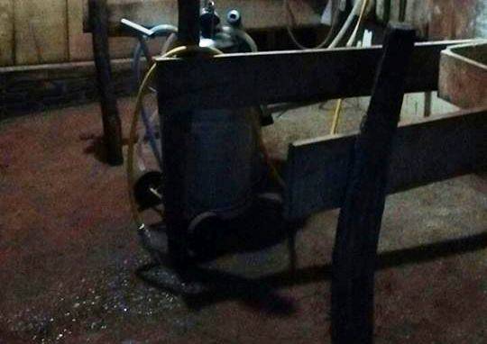 Autora foi presa pela polícia
