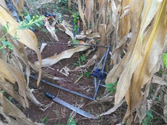 Caso aconteceu em propriedade rural no interior de Capão Bonito do Sul
