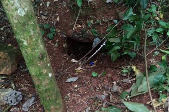 Brigada Militar acredita que Volnei Bertoletti tenha 

tido algum problema de saúde