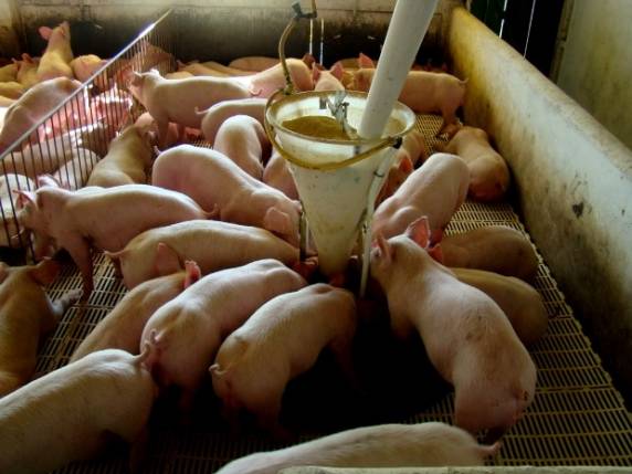 Imposto passou de 12% para 6% 

em 1º de março deste ano