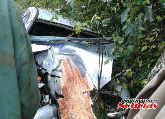 Veículo saiu da pista e bateu em uma árvore