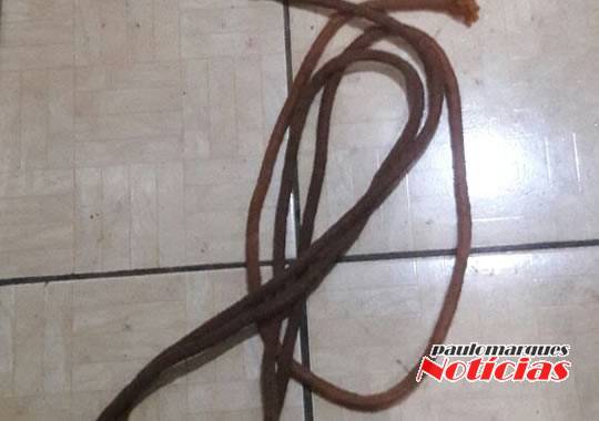 Depois do susto os ladrões sumiram no interior de um mato, sem consumar o furto de uma novilha