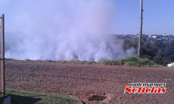 Já são inúmeros os incêndios na mesma área