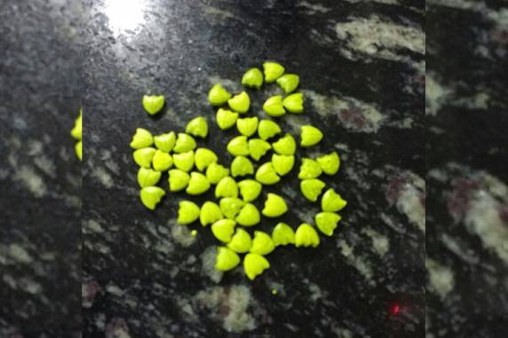 Jovem de 21 

anos foi preso comercializando ecstasy durante uma festa de uma casa noturna