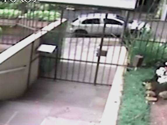 Caso mais recente foi registrado na cidade de Caxias do Sul, na Serra