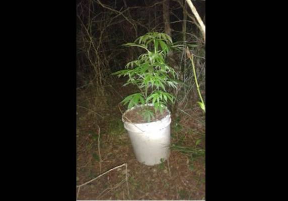 Suspeita é de que local seria ponto de entrega de drogas