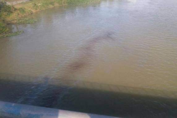 Acidente ocorreu na ponte sobre o Itajaí-Açu