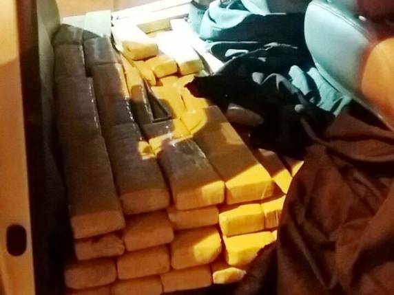 Foi a maior apreensão de maconha em rodovia federal de SC em 2016